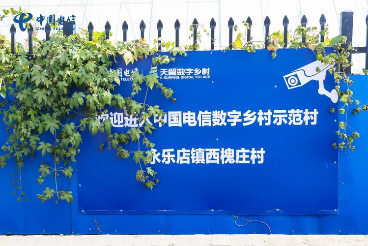 副中心乡村开出“数字花” 慧种植贯穿农业全流程，科技模块打造村级“翼数信息”